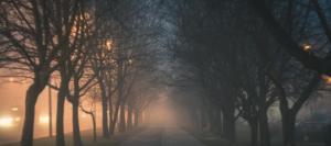 noc_knjige-night_prowler-20