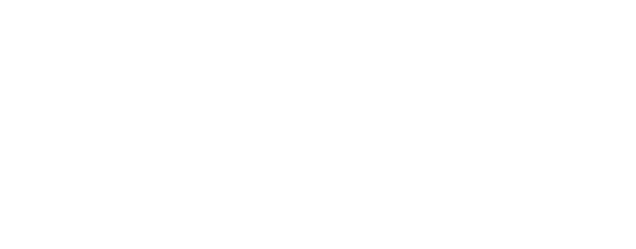 sic-03-vss_logo-w VSŠ